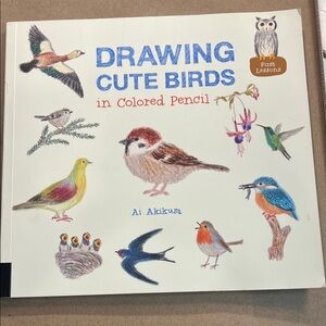 Drawing Cute Birds in Colored Pencil Book First Lessons by Ai Akikusa